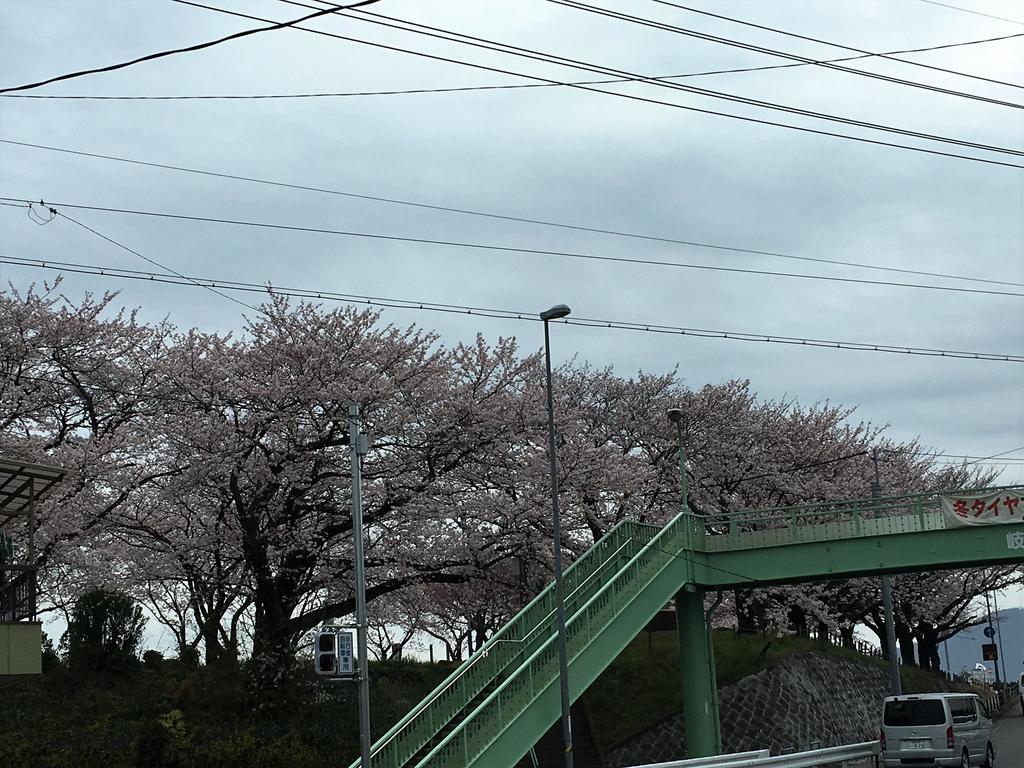 Guesthouse Kiten Gifu Bagian luar foto